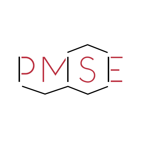 2025 PMSE Early Investigator Award